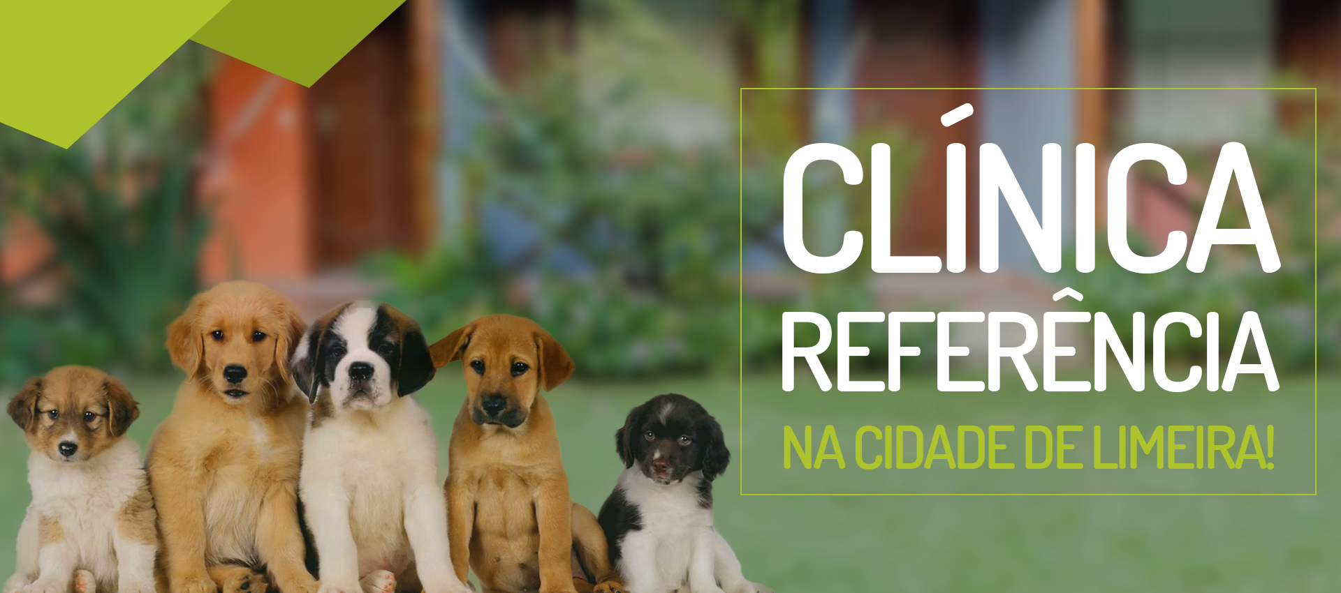 Clínica Referência na cidade de Limeira