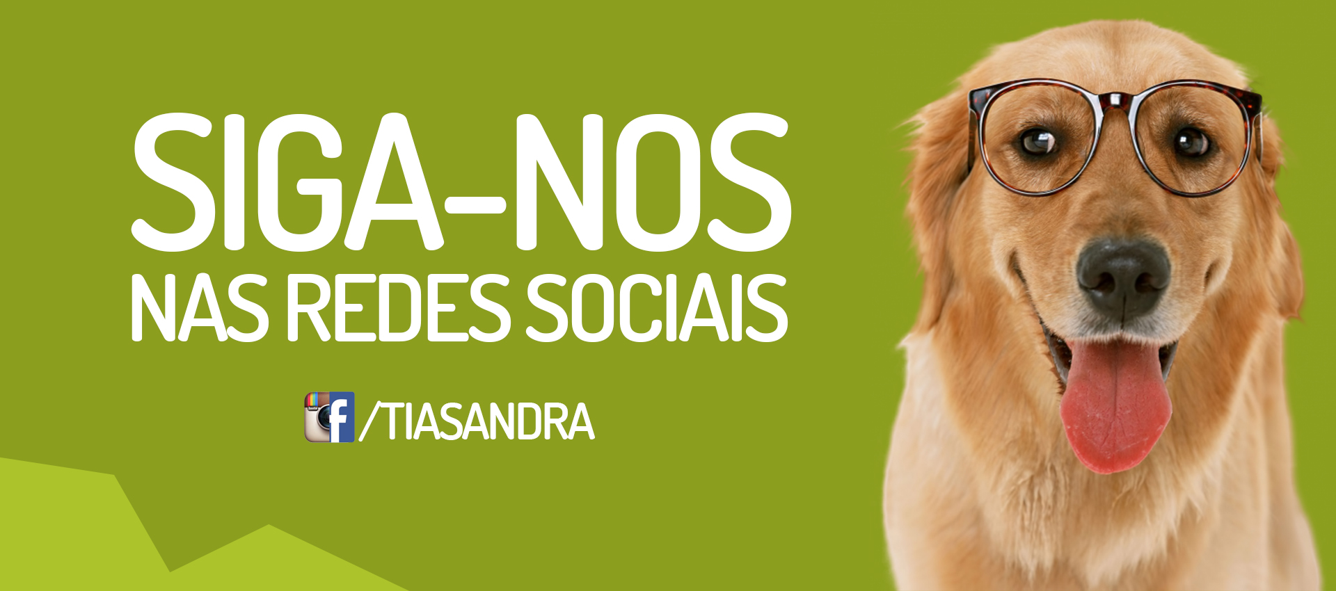 Siga-nos nas Redes Sociais