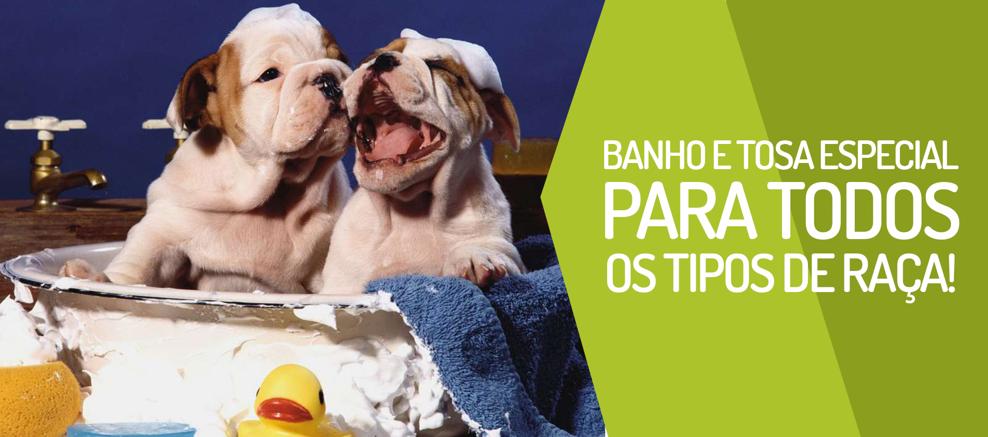 Banho & Tosa especial para todos os tipos de raças